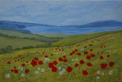 Wildflowers On The Coast